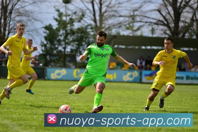 诺亚体育APPAPP 封面图